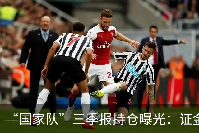 “国家队”三季报持仓曝光：证金重仓中国神华，社保基金增持中金岭南