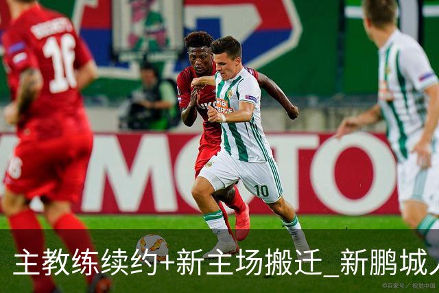 主教练续约+新主场搬迁 新鹏城人员将有大面积调整