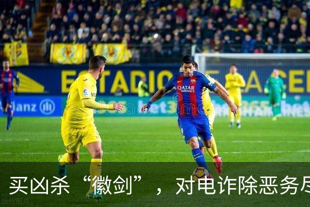 买凶杀“徽剑”，对电诈除恶务尽 | 新京报快评