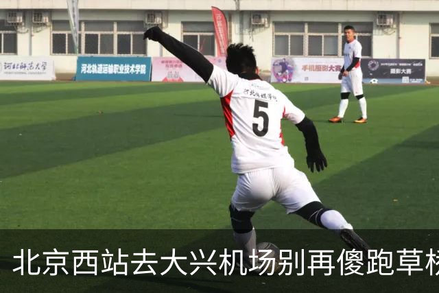 北京西站去大兴机场别再傻跑草桥！17元高铁直达太香了