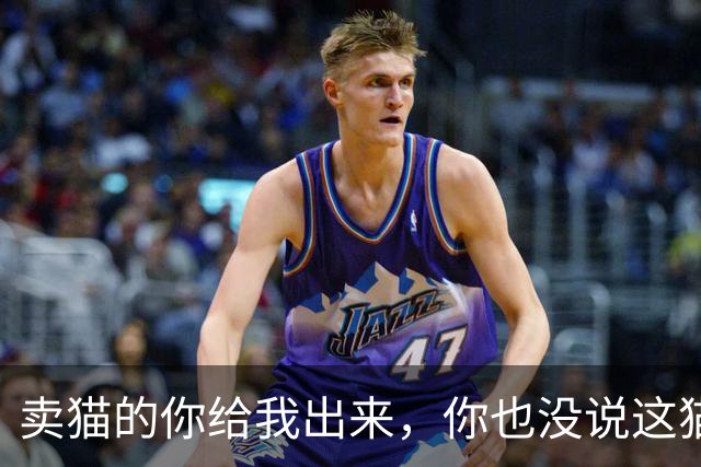 卖猫的你给我出来，你也没说这猫能长这么大啊