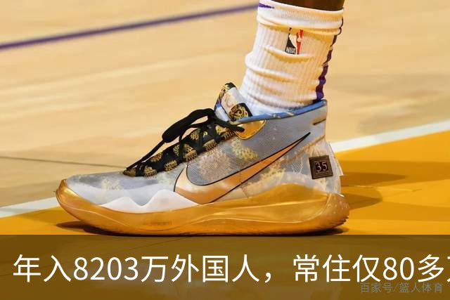 年入8203万外国人，常住仅80多万！五星卡首日仅50人申领！