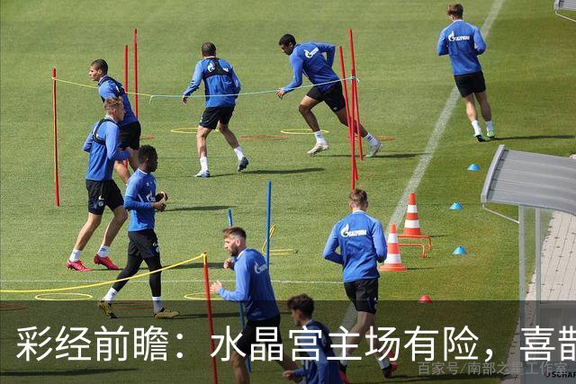 彩经前瞻：水晶宫主场有险，喜鹊展翅看好纽卡斯尔联取胜