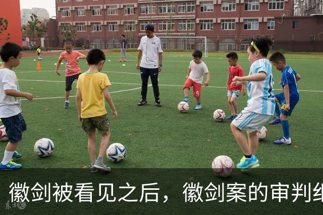 徽剑被看见之后，徽剑案的审判细节也该被看见