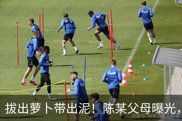 拔出萝卜带出泥！陈某父母曝光，扬州公司洗白，背后的人憋不住了