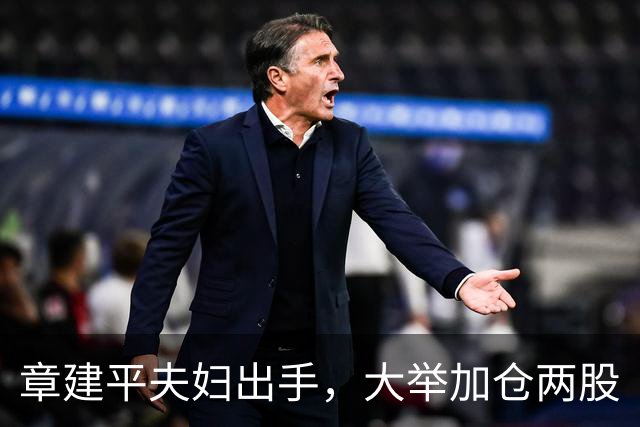 章建平夫妇出手，大举加仓两股