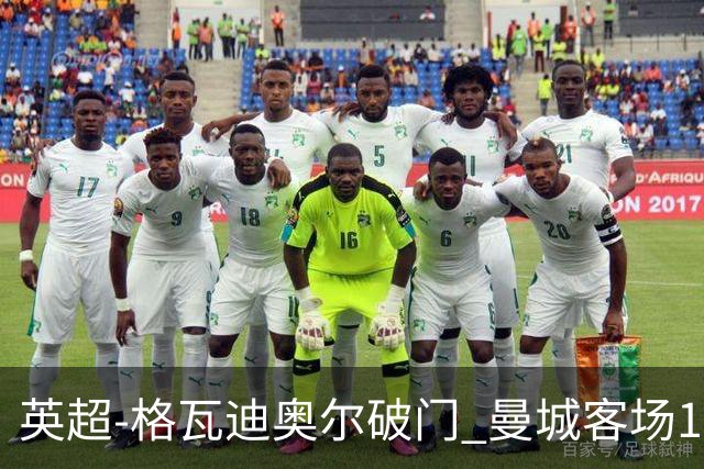英超-格瓦迪奥尔破门 曼城客场1-2伯恩茅斯