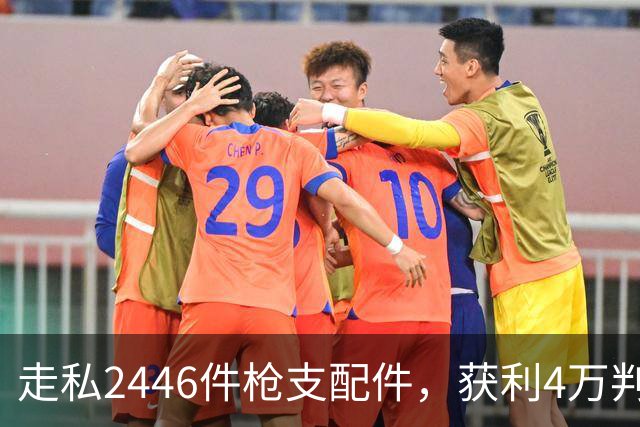 走私2446件枪支配件，获利4万判了10年，国家射击教练田红案披露